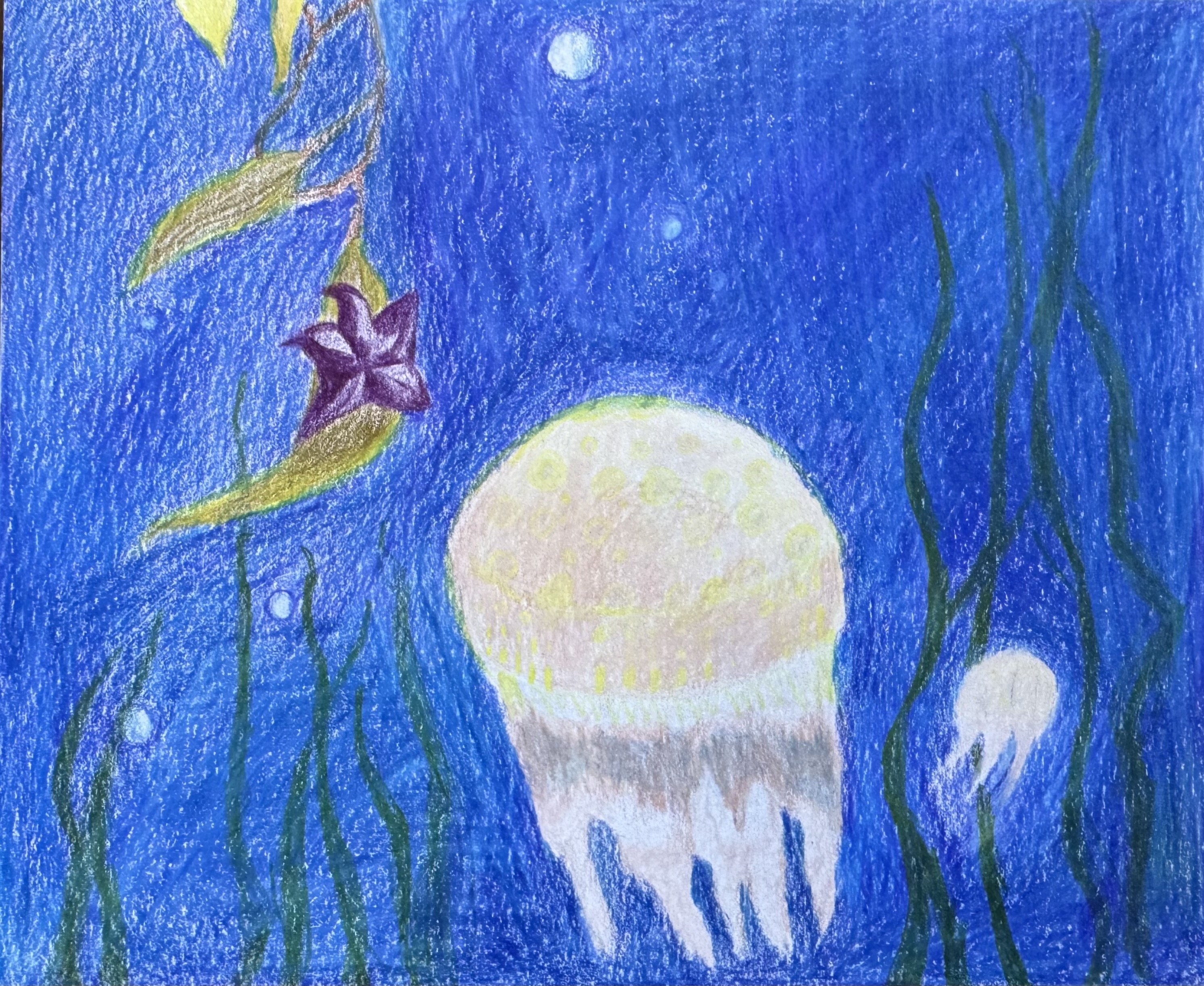 Placeholder for future artwork